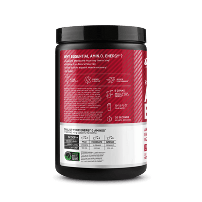 ON Amino Energy Fruit Fusion 270gr